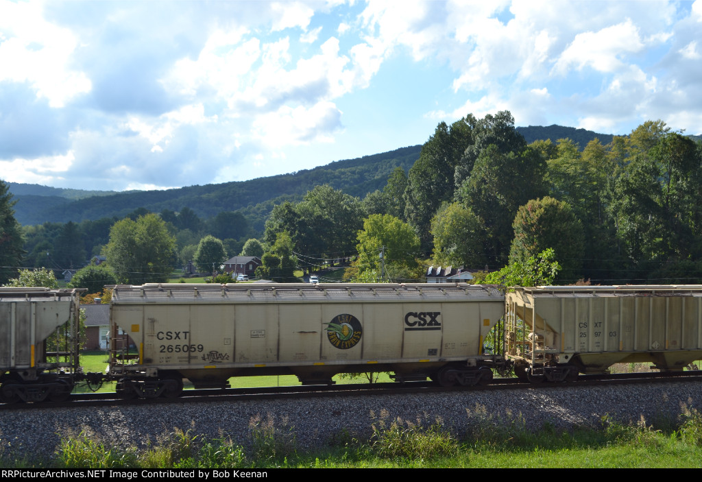 CSXT 265059